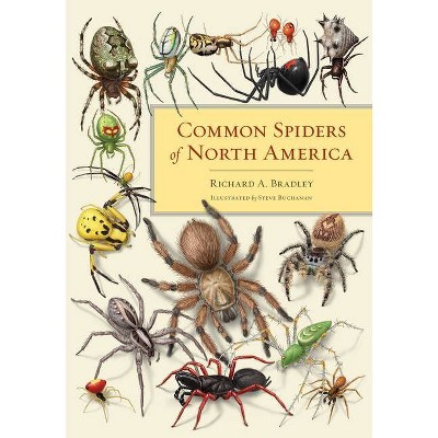 Common Spiders of North America - by  Richard A Bradley (Hardcover)