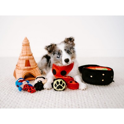 ZippyPaws Burrow Puzzle Plush Dog Toy, Interactive Squeaky Toy for Enrichment, Hide and Seek Game for Small to Medium Dogs, Miraculous Miracle Box