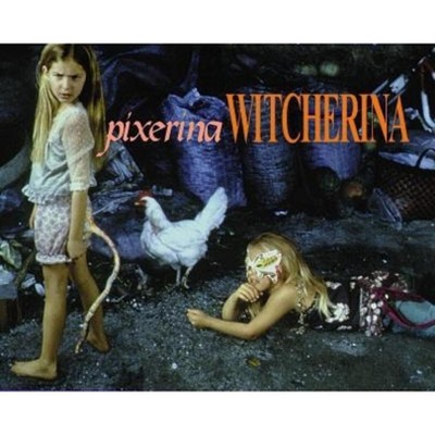 Pixerina Witcherina - (Paperback)