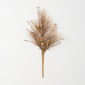 19.25"H Sullivans Pampas Grass Berry Pick, Brown - 1 of 3