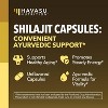 Shilajit Capsules for Men and Women, Shilajit Supplement Supports Heart, Immune & Healthy Aging, Havasu Nutrition, 60ct - 4 of 4