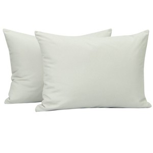 2 Pack Brushed Microfiber Zippered Toddler Pillowcases, Super Soft and Cozy Travel Pillow Cases - NTBAY - 1 of 4