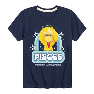 Boys' - Sesame Street - Pisces Big Bird Short Sleeve Graphic T-Shirt - 1 of 4