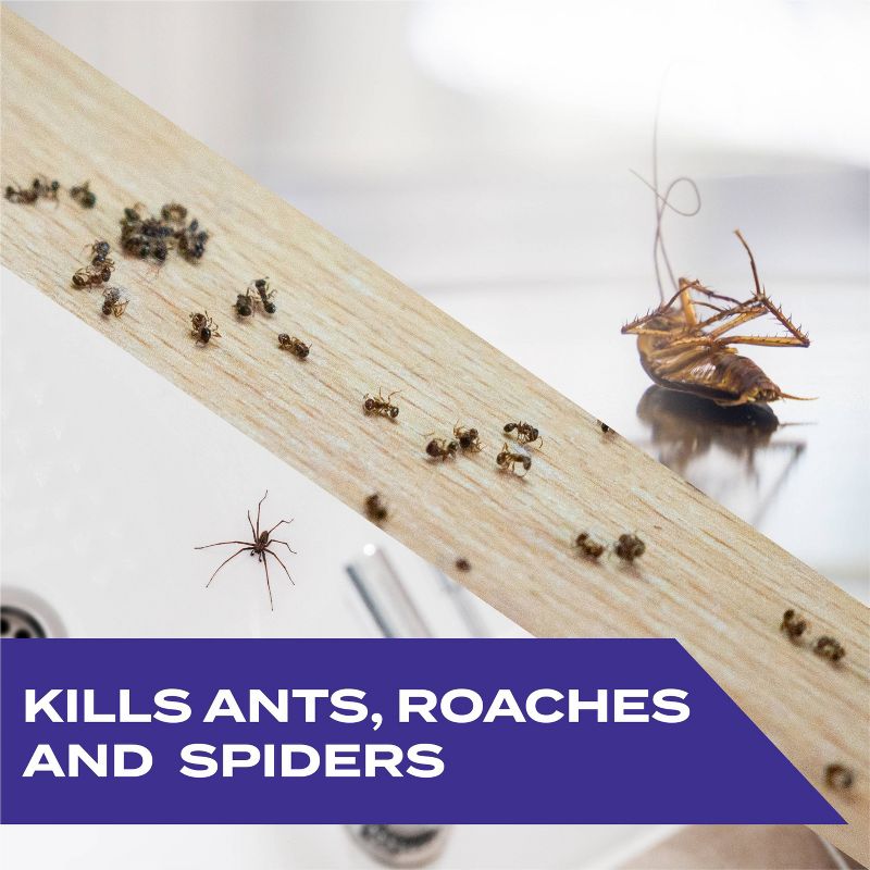 STEM Ant-Roach-Spider Aerosol - 10oz, 6 of 18