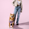 THE LICKER STORE Arlo Adjustable Soft Padded No Pull Pet Harness with 3 Buckles and 3 Leash Clips - 2 of 4