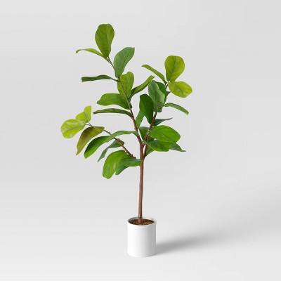 Fiddle Leaf Tree - Threshold&#8482;