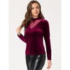 INSPIRE CHIC Women's Casual Velvet Long Sleeve Choker Neck Heart Dots Mesh Panel Top - 3 of 4