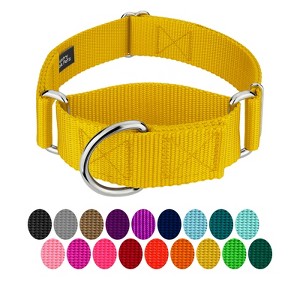 Country Brook Petz HossFit Jr Wide Martingale Dog Collar - Training Collar with No Buckle - Vibrant, Colorful Collection - 1 of 4