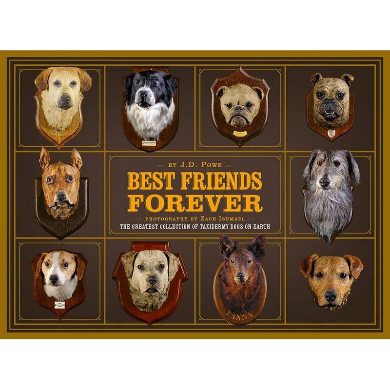 Best Friends Forever - by  J D Powe (Hardcover), 1 of 2