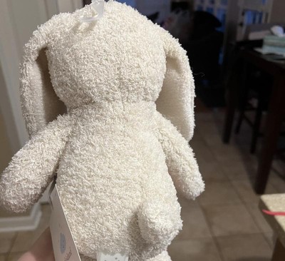 Bunny Plush Animal With Mini Plush Bunny Stuffed Animal Toy - 2pc - Cloud  Island™ : Target