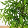 Nearly Natural 3' Artificial Real Touch Norfolk Island Pine in Metal Tin Planter with Natural Look - 2 of 4