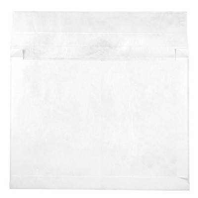 JAM Paper Expandable Booklet Catalog Envelopes w/Peel & Seal Closure 10x15x2 376634196B