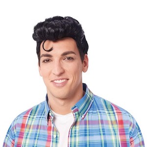 Costume Culture by Franco LLC Doo Wop Men's Costume Wig - Black - 1 of 4