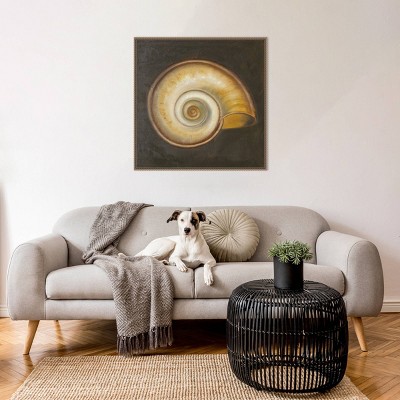 30"x30" Seashell I by Patricia Pinto Framed Canvas Wall Art Print Bronze - Amanti Art: Hand-Stretched, Madison WI, Nautical Decor