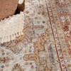 Nourison Petra Oramental Indoor Rug - 3 of 4