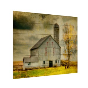 Trademark Fine Art - Lois Bryan 'Old Barn on Stormy Afternoon' - 1 of 4