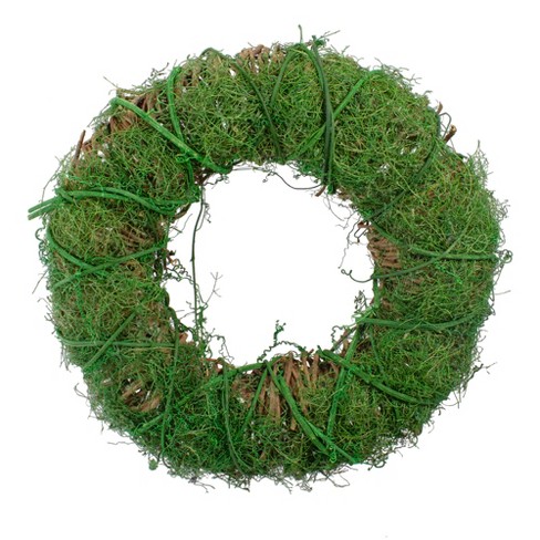 Northlight Green Moss and Twig Artificial Spring Wreath, 12-Inch - image 1 of 3