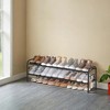 Shoe Rack, 2-Tier Shoe Organizer, Metal Shoe Shelf Storage with 4 Side Hooks, Holds 12 Pairs of Shoes - 2 of 4