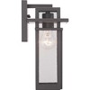 Progress Lighting Boxwood 1-Light Outdoor Wall Lantern in Antique Bronze with Clear Seeded Glass Shade - 2 of 4