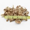 Soil Sunrise Long Fibered Sphagnum Peat Moss, for Orchid, Carnivorous Plant, Terrariums - image 3 of 4