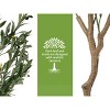 Orieon 4FT Artificial Olive Tree with Silk Leaves, 20 Fruits, Natural Wood Trunk, Adjustable Stems, Indoor Outdoor Planter - 4 of 4