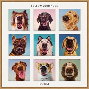 Amanti Art Follow Your Nose Collage by Lucia Heffernan Canvas Wall Art Print Framed - 1 of 4