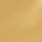 gold medal