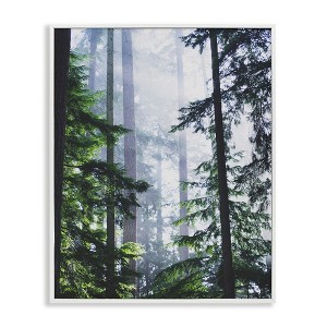 Stupell Industries Foggy Forest View, 16" x 20" - 1 of 4