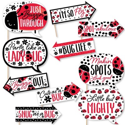 Big Dot of Happiness Funny Happy Little Ladybug - Baby Shower or Birthday Party Photo Booth Props Kit - 10 Piece