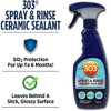 303 Products Spray & Rinse Ceramic Sealant - 2 of 4