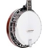 Gold Tone PS-250: Plectrum Special Banjo Vintage Brown - 3 of 4