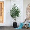DR.Planzen 72" Artificial Ficus Tree - 6FT UV Resistant Fake Plant with Silk Leaves & 15.7" Planter for Indoor House Plants, Floor & Tall Faux Trees - 4 of 4
