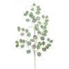 Set of 12 Frosted Silver Dollar Eucalyptus Sprays for Christmas by 32"H by Melrose - 2 of 3