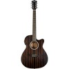 Washburn Deep Forest Ebony ACE Acoustic-Electric Guitar Natural Matte - 3 of 4