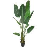 Northlight 70" Artificial Green Travellers Palm Tree