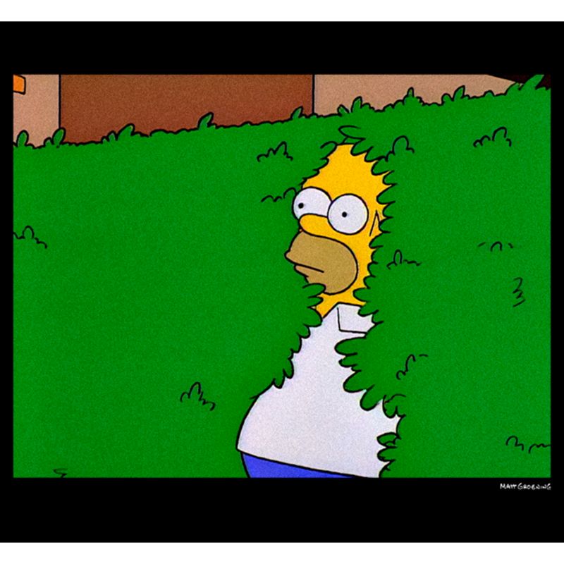 Men's The Simpsons Homer Disappearing into the Bush, Nothing to See here T-Shirt, 2 of 6