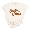 Simply Sage Market Pumpkin Vibes Stars Garment Dyed Tee - 2 of 4