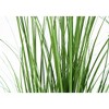 Monarch Specialties Artificial Plant 47 inch Tall Grass Tree Indoor Faux Fake Floor Greenery Potted Real Touch Decorative Green Grass Black Pot - image 4 of 4