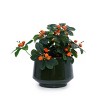 Syemin Planters Set of 3 Ceramic Flowerpot, Modern Indoor Outdoor Planter Patio with Drainage Holes for Garden Windowsill, Green, 14.96"*14.96"*10.63" - 4 of 4
