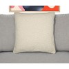20"  Throw Pillow With Shag - 2 of 4
