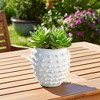 Stone Ceramic Planter with Raised Textured Surface and Rounded Edge Design - Contemporary Decorative Accent Pot with Sculpted Detail - 3 of 4