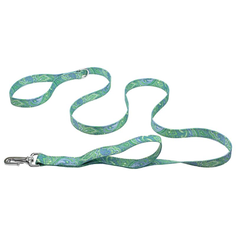 Country Brook Petz Green Paisley Deluxe Reflective Dog Leash, 1 of 6