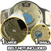 Replacement Jewels Compatible with WWE Attitude Era Championship Adult Size Replica Belt - 2 of 2