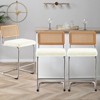 Bekrvio Bar Stools Set of 2/3/4, 26”/30" Barstool with Rattan Back, Velvet-Upholstered & Chrome Frame,Mid Century Modern Kitchen Stool for Island - 2 of 4