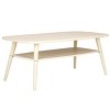 Karou 2 Tier Coffee Table - Safavieh - 4 of 4