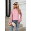Lace Blouse Sheer Raglan Sleeve Tops Crew Neck Long Sleeve Pleated Tee Blouse Elegant Tops Casual Tops - 4 of 4