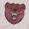 Men's Ursinus College Official Distressed Primary Logo T-Shirt Ursinus College - 2 of 4