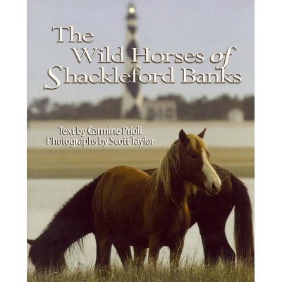 Wild Horses of Shackleford Banks - by  Carmine Prioli & Scott Taylor (Paperback)