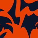 chicago bears
