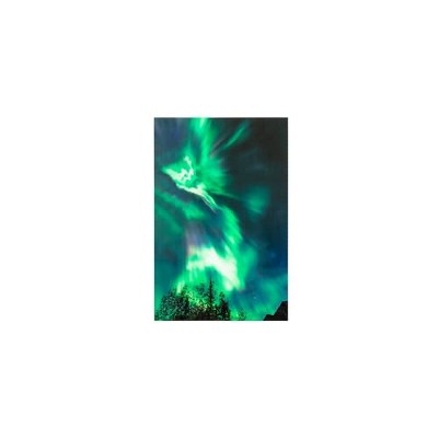 Yosemite Home Decor Northern Lights Wall Art